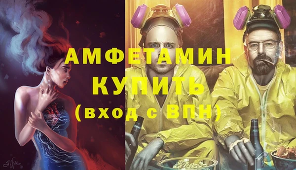 амф Новодвинск