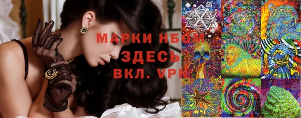 амф Новодвинск