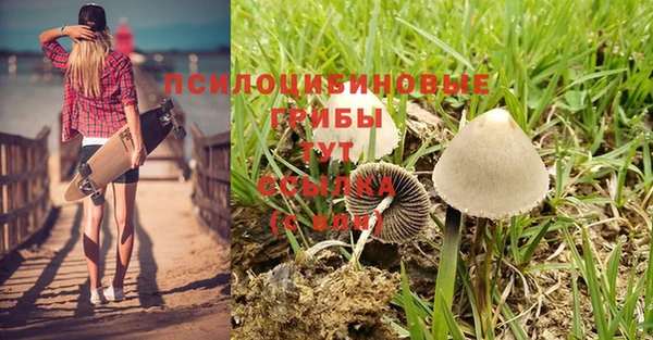 амф Новодвинск