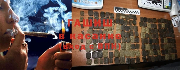 амф Новодвинск